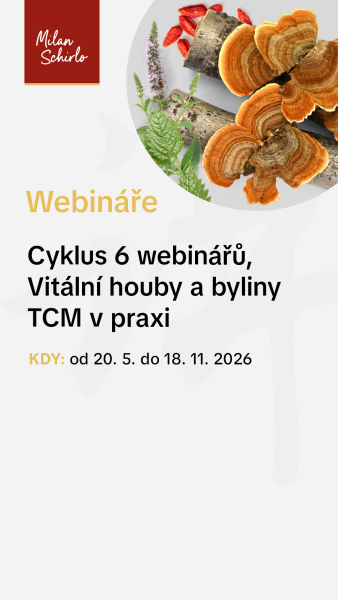 Reels_WEBINARE6x.jpg