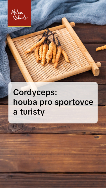 Reels_Cordyceps.jpg
