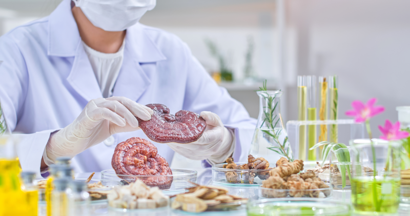 Reishi, Tamoxifen a BRCA: Mýty vs. vědecká fakta