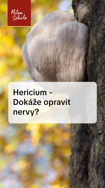 Reels_Hericium---Dokáže-opravit-nervy-.jpg