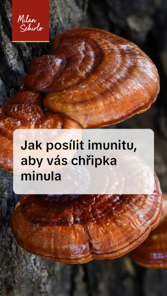 Reels_Jak-posílit-imunitu,-aby-vás-chřipka-minula.jpg