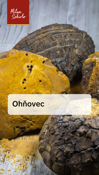 Reels_Ohňovec.jpg