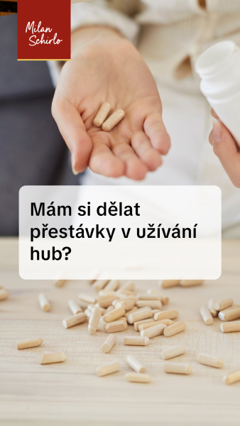 Reels_Mám-si-dělat-přestávky-v-užívání-hub-.jpg