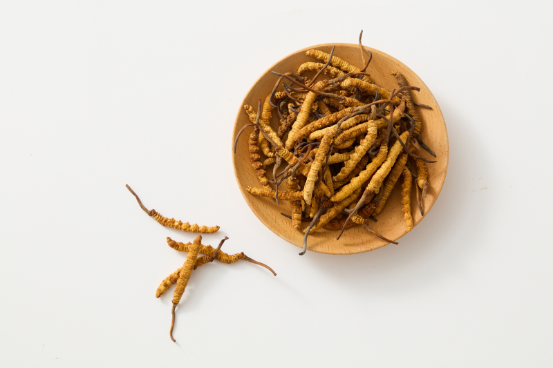 Cordyceps - dobije ztracenou energii