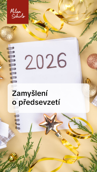 Reels_Zamyšlení-o-předsevzetí.jpg